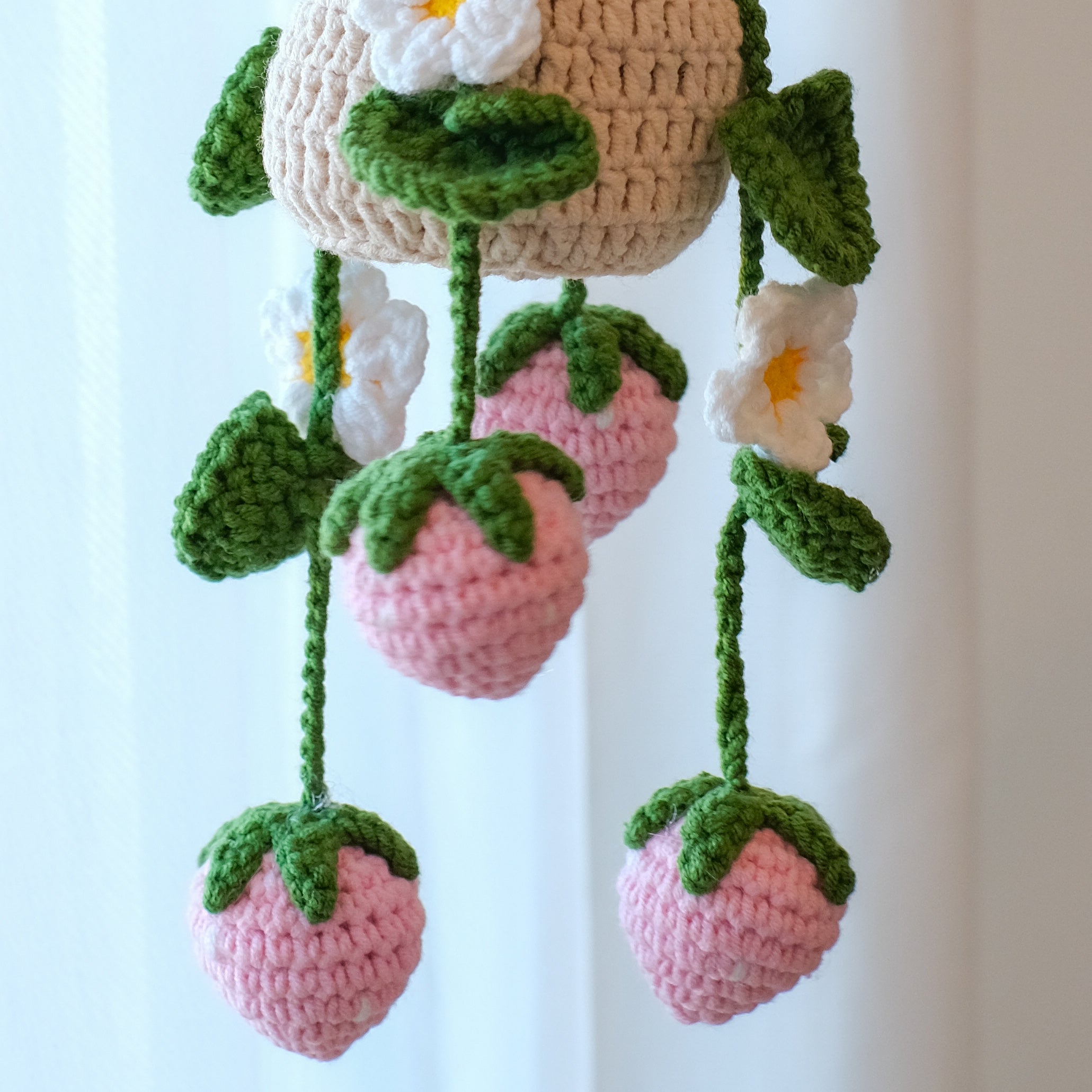 Strawberry Hanging Plant
