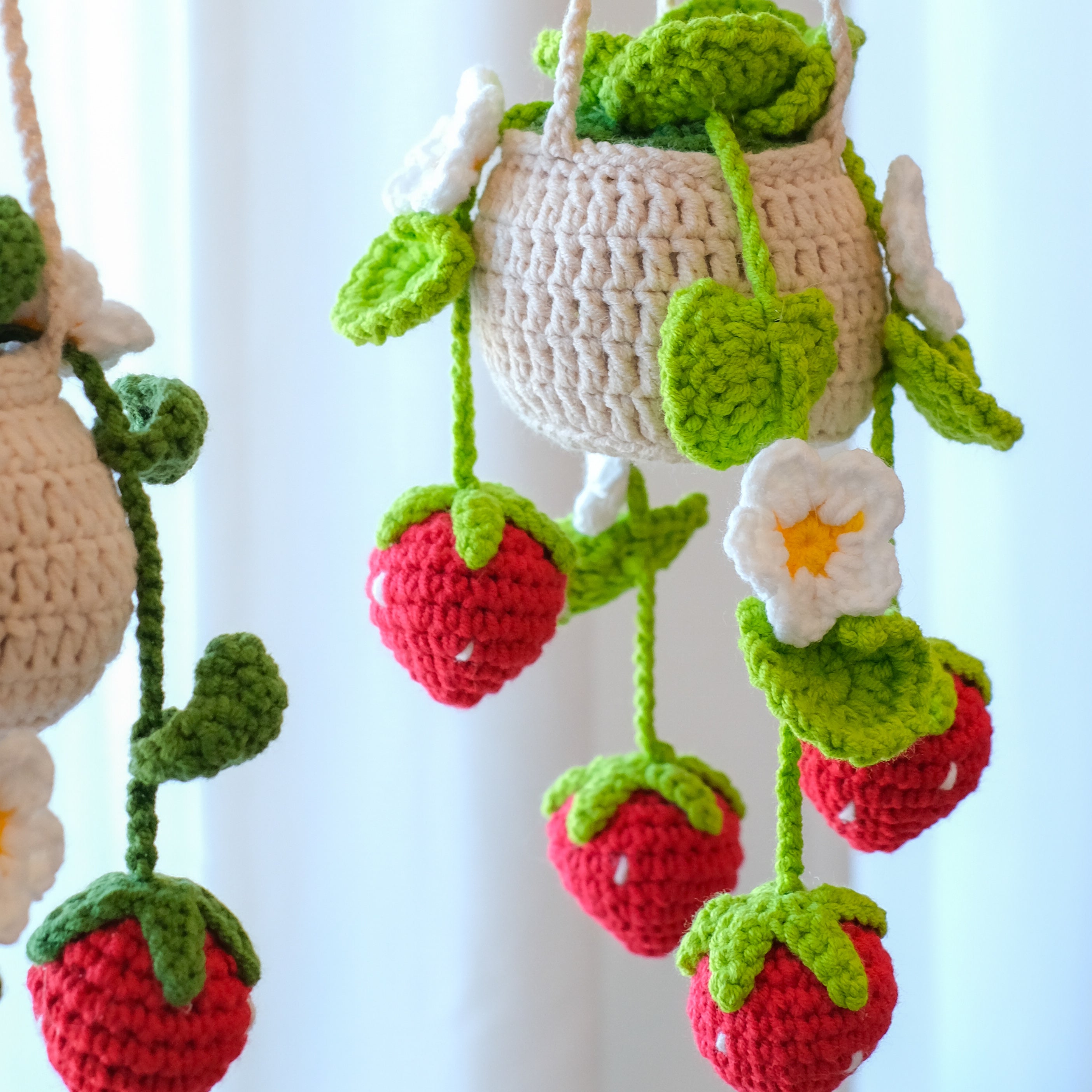 Strawberry Hanging Plant