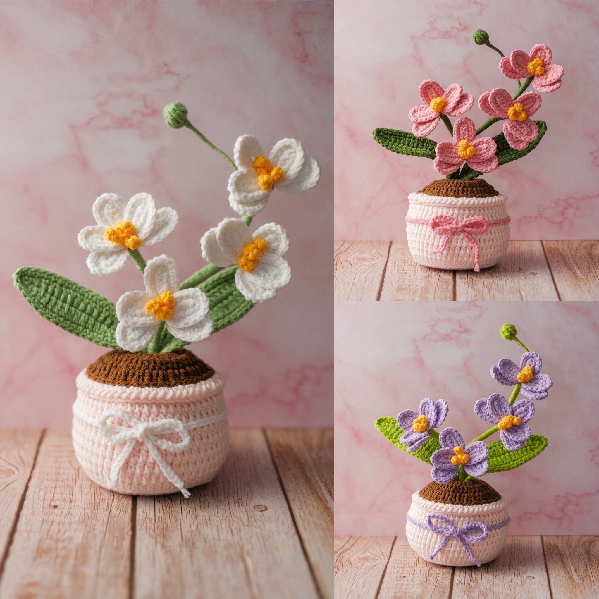 Orchid Pot (Medium size)