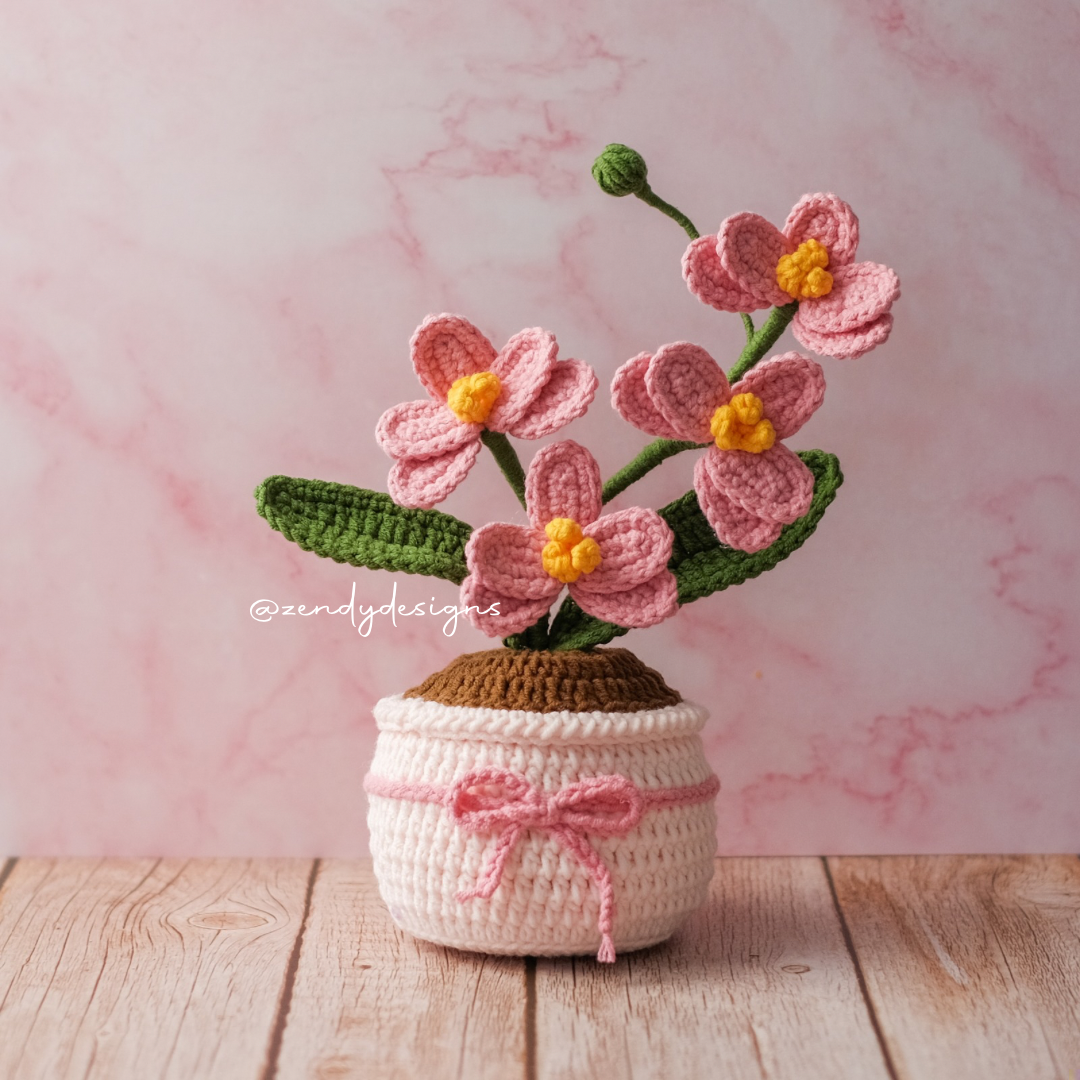 Orchid Pot (Medium size)