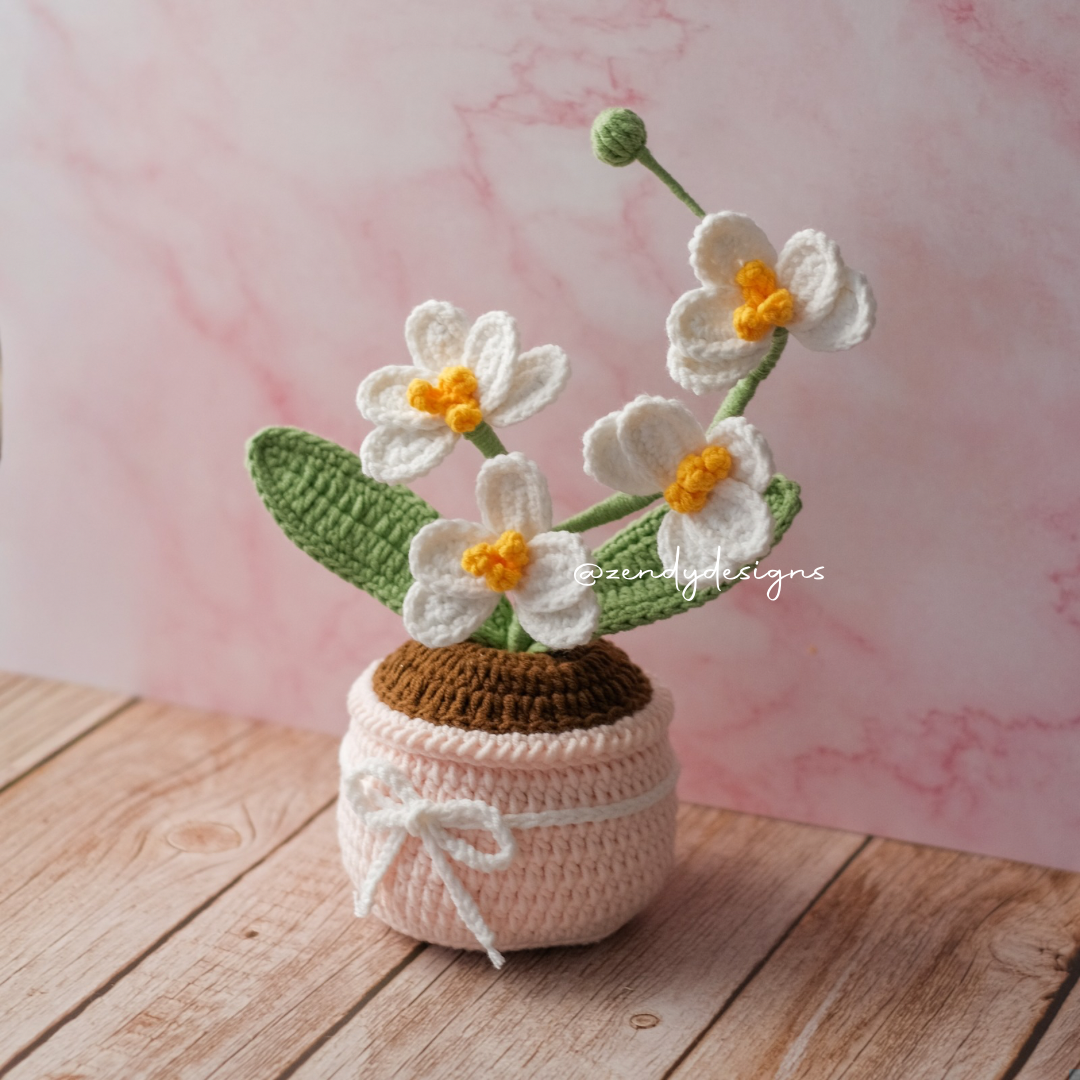 Orchid Pot (Medium size)