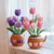 Margaret Tulip Pot (large)