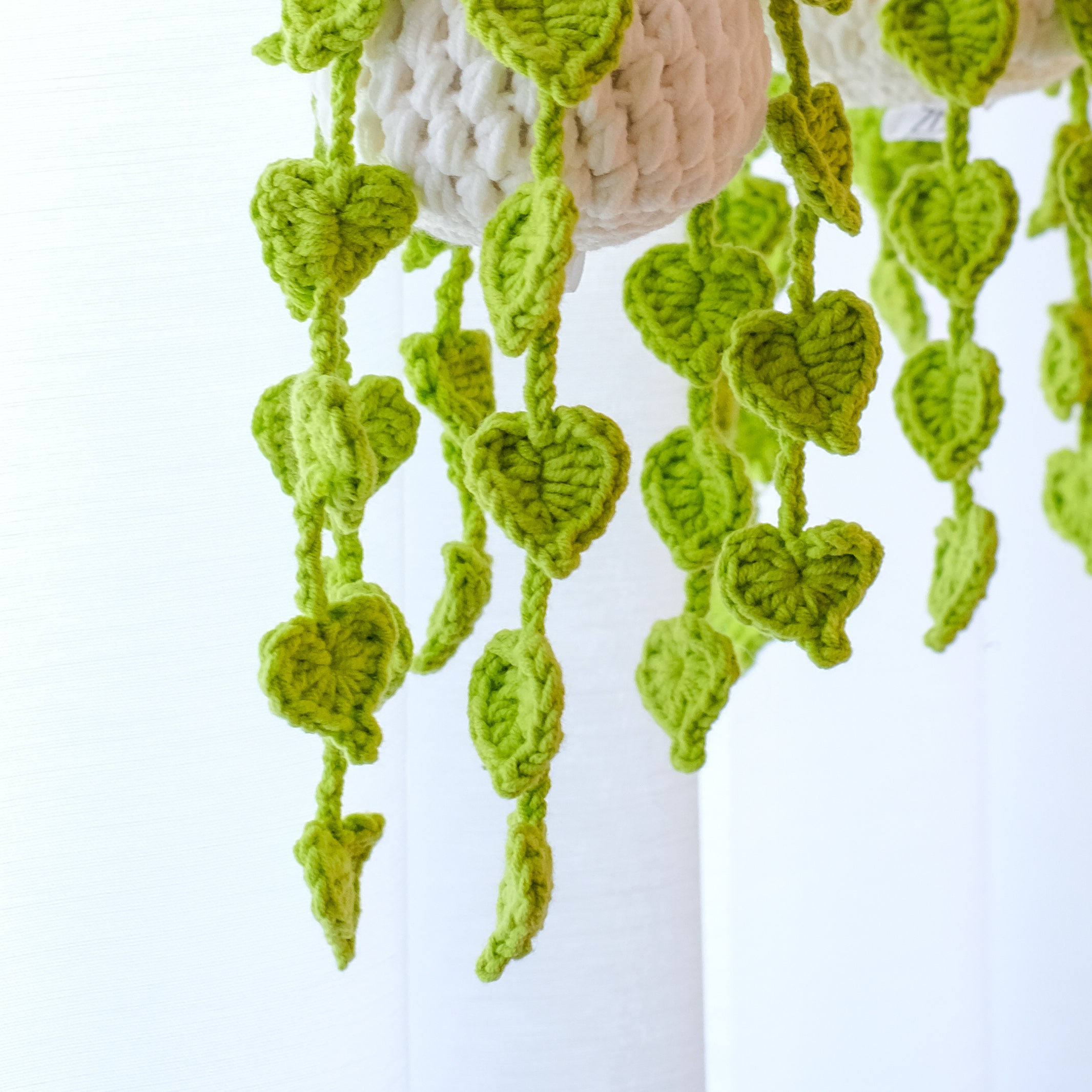 Heart-Leaf Hanging Plant