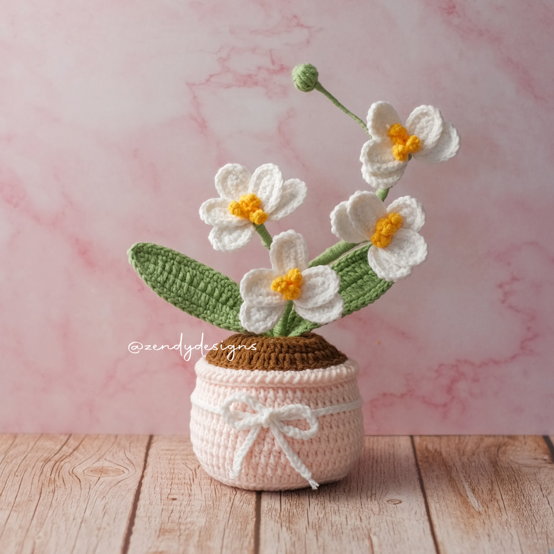 Orchid Pot (Medium size)