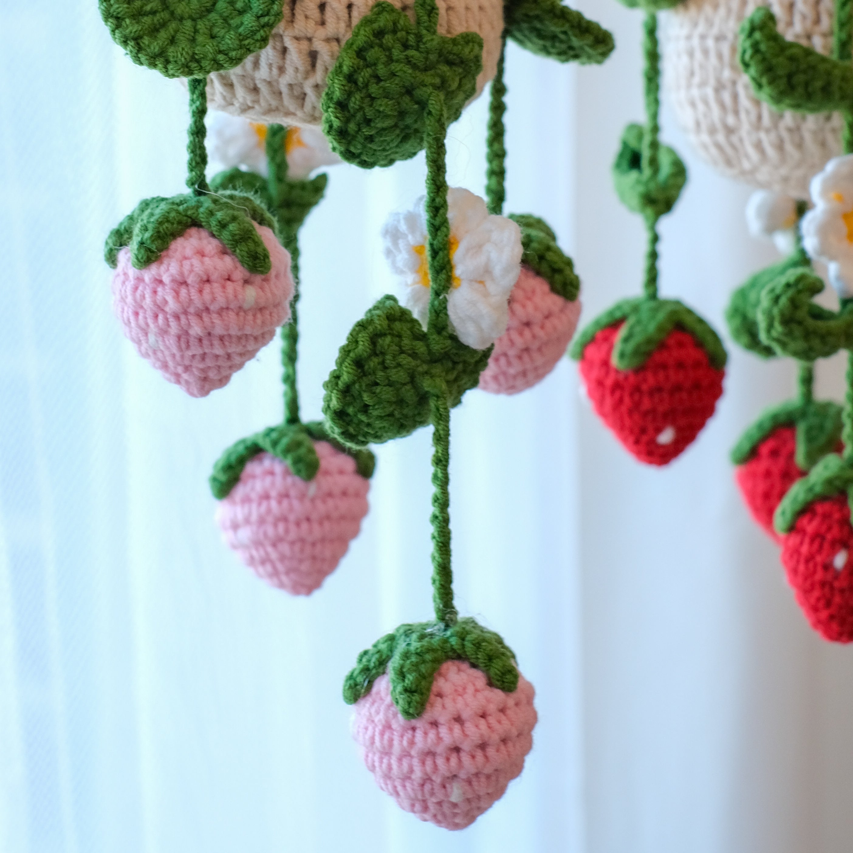 Strawberry Hanging Plant