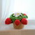Big Strawberry Planter