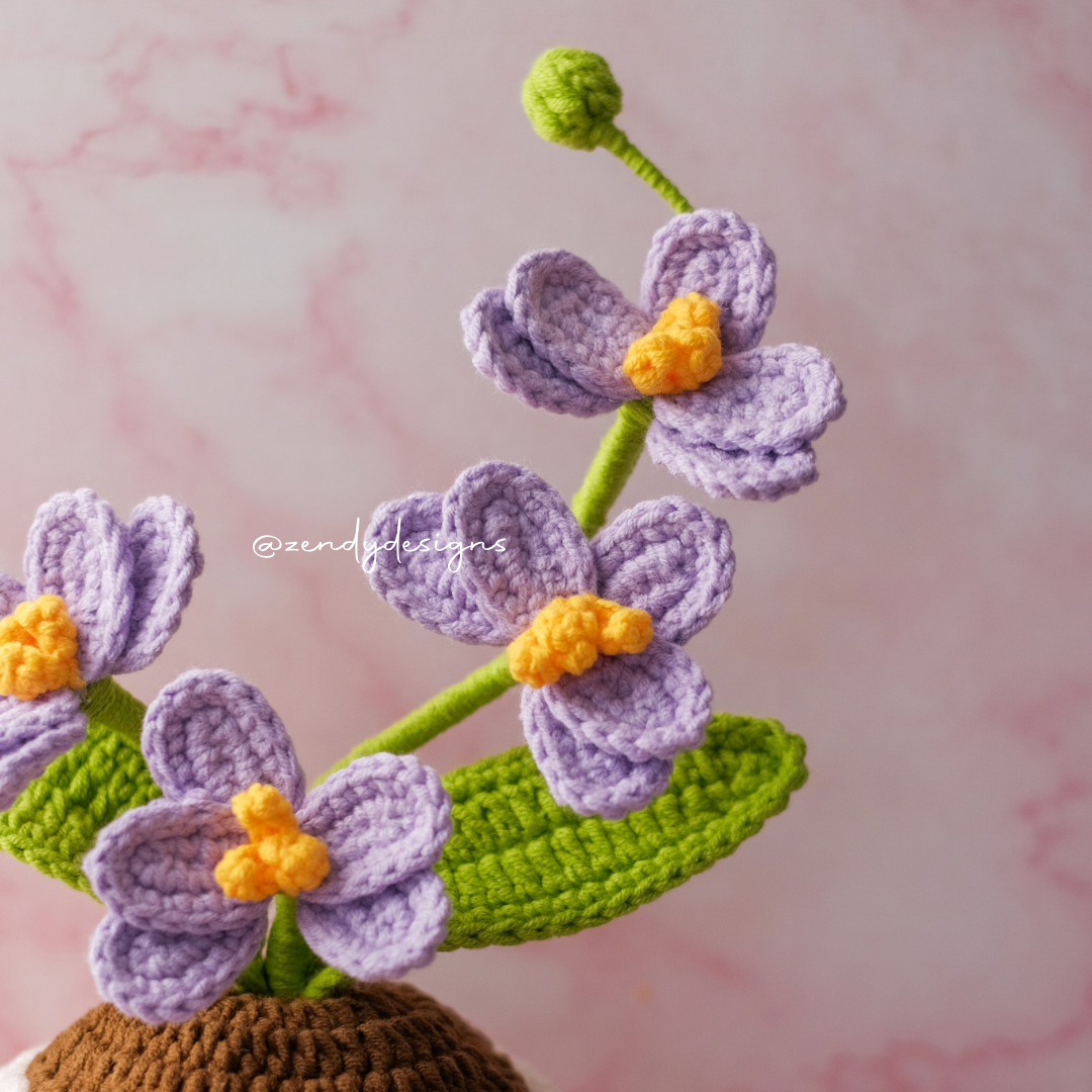 Orchid Pot (Medium size)