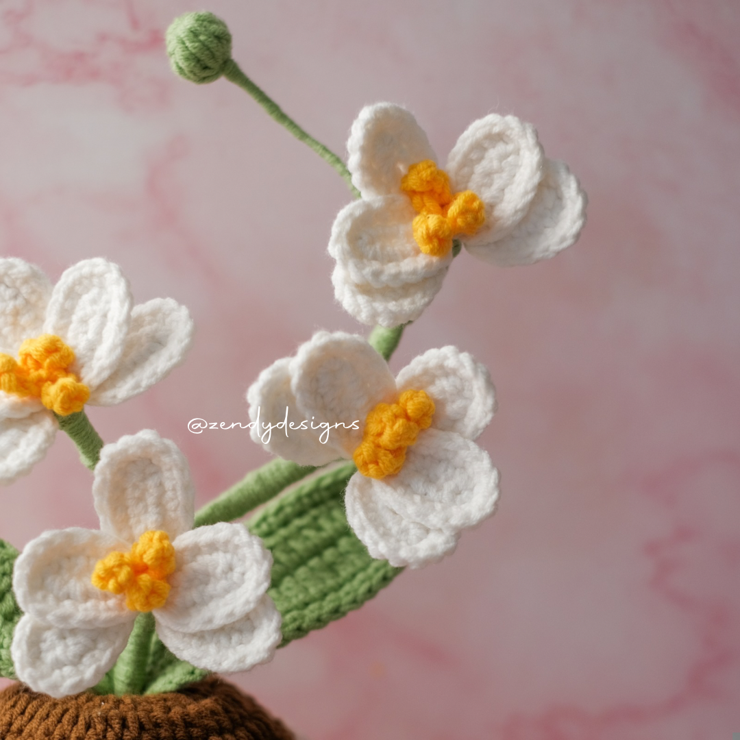 Orchid Pot (Medium size)