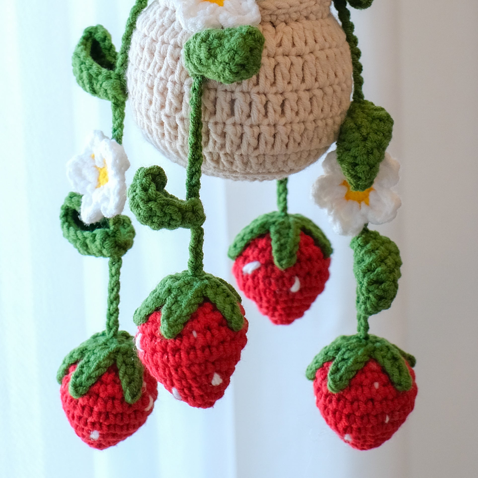 Strawberry Hanging Plant