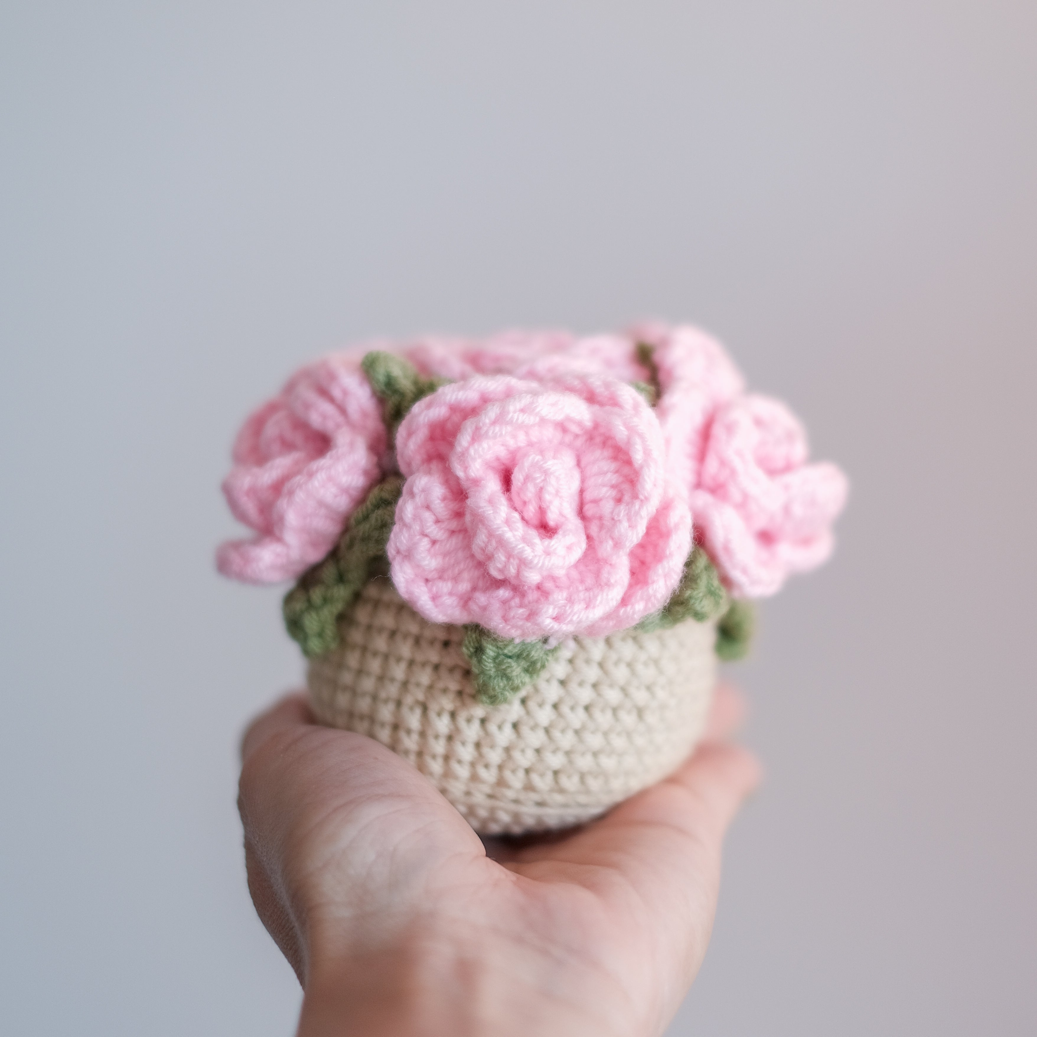 Rose Pot - 6 Colors