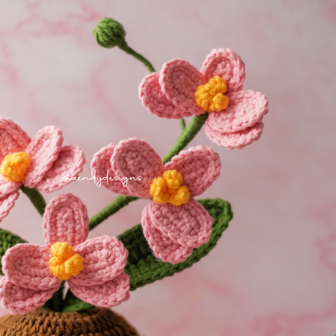 Orchid Pot (Medium size)