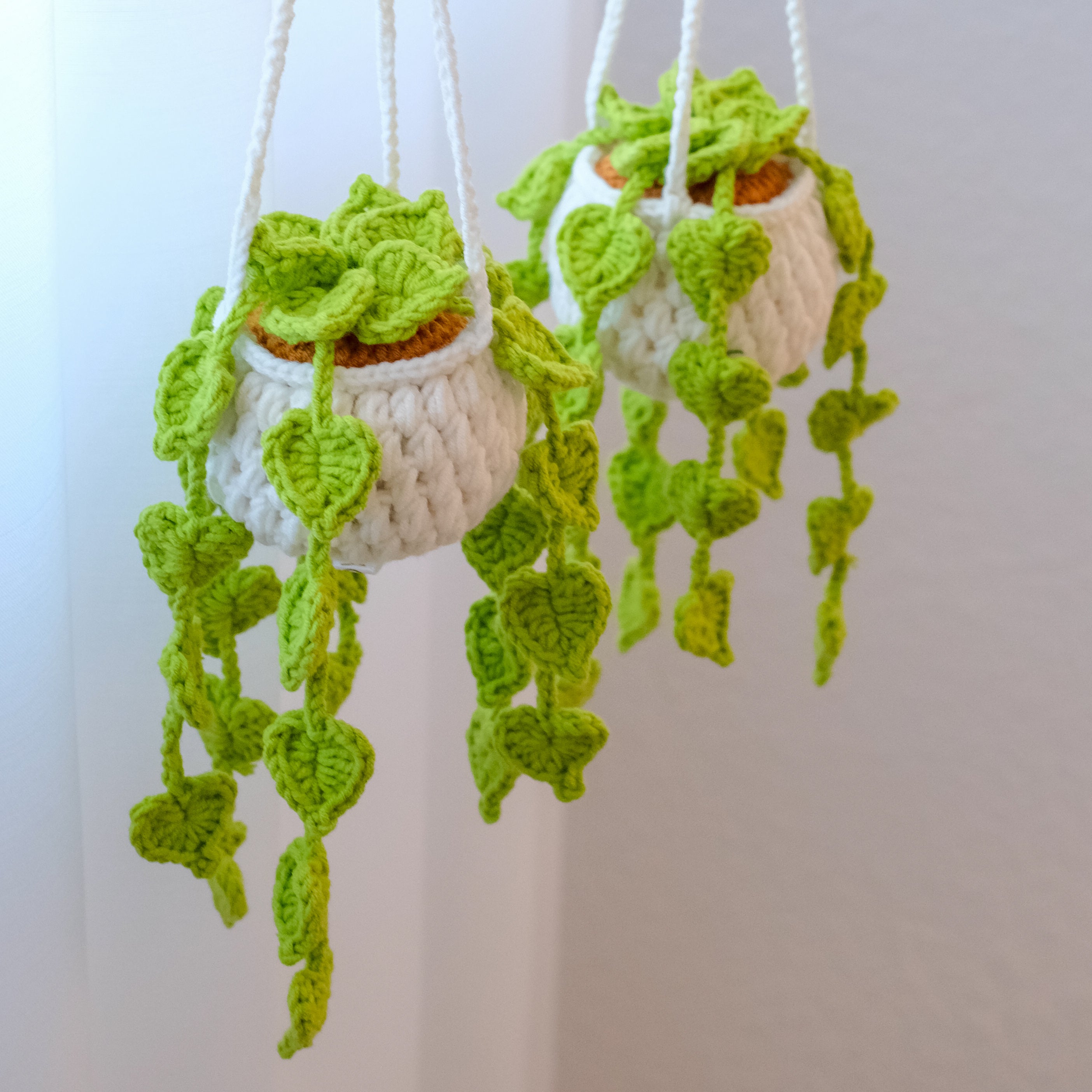 Heart-Leaf Hanging Plant