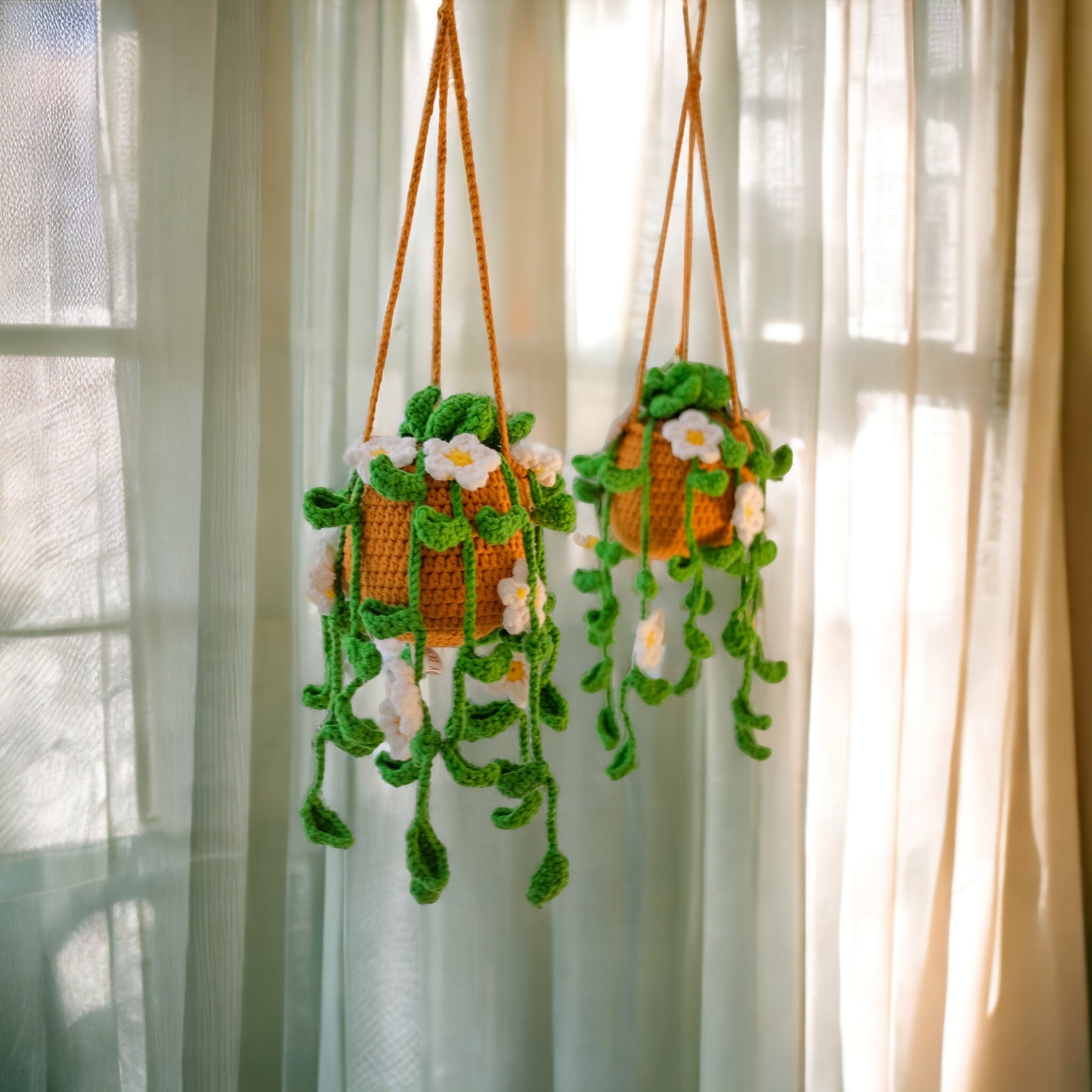 Daisy Hanging Plant