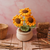 Sunflower Pot (Medium size)