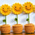 Smiley Sunflower Planter