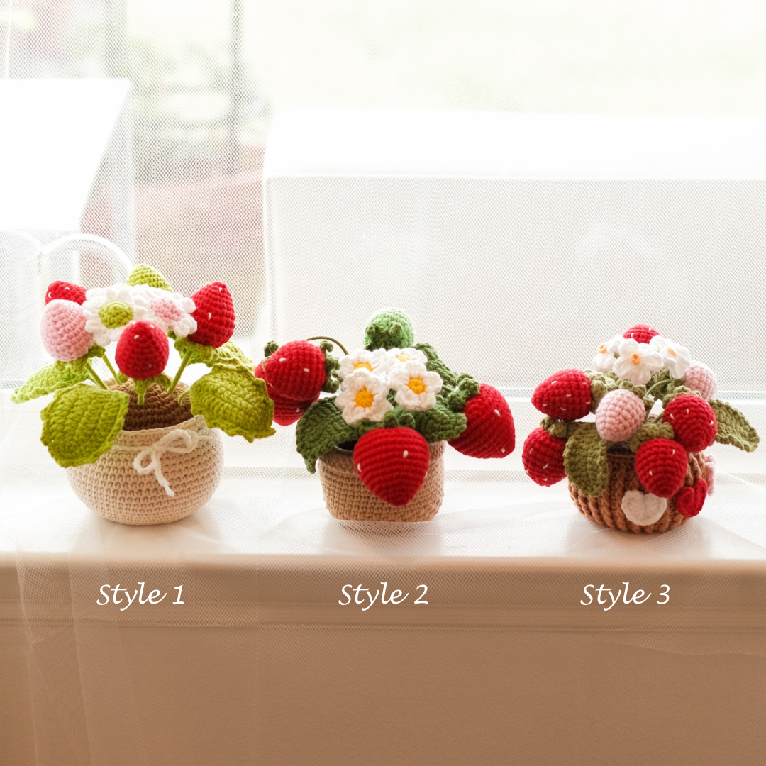 Strawberry Desk Planter-3 Styles